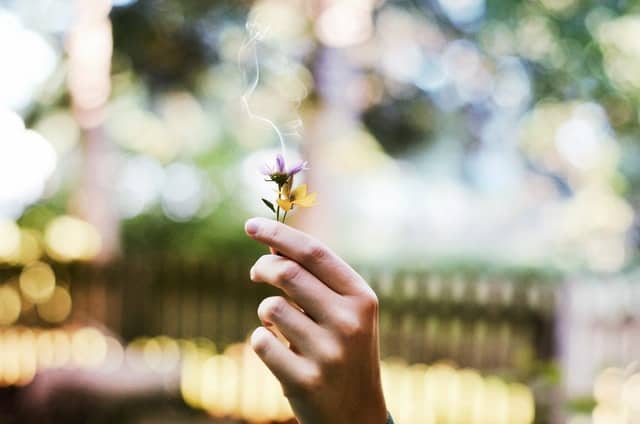 happy flower